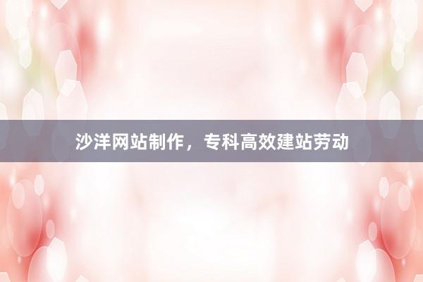 沙洋网站制作，专科高效建站劳动