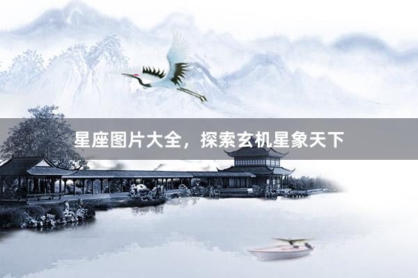 星座图片大全，探索玄机星象天下